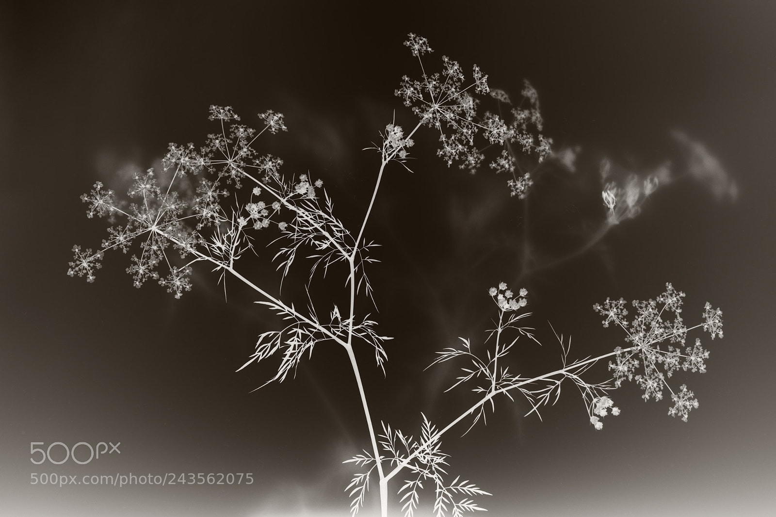 Nikon D7200 sample photo. Farbwechsel ii photography