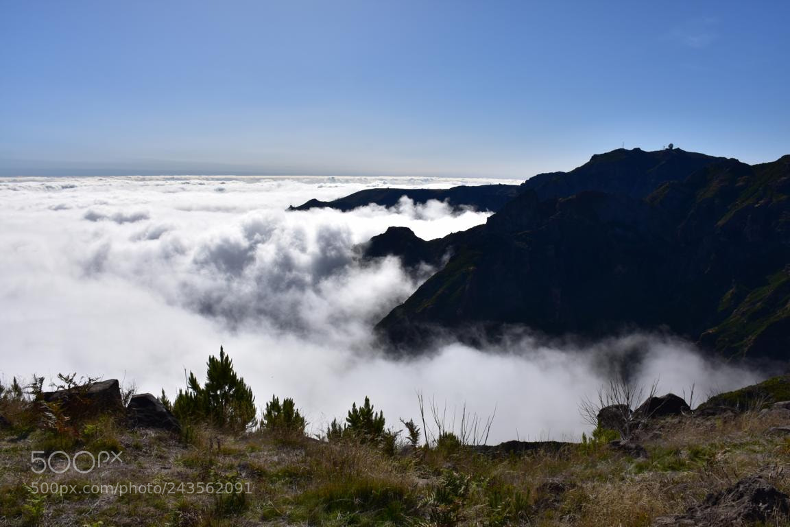 Nikon D7200 sample photo. Madeira - 014 over photography