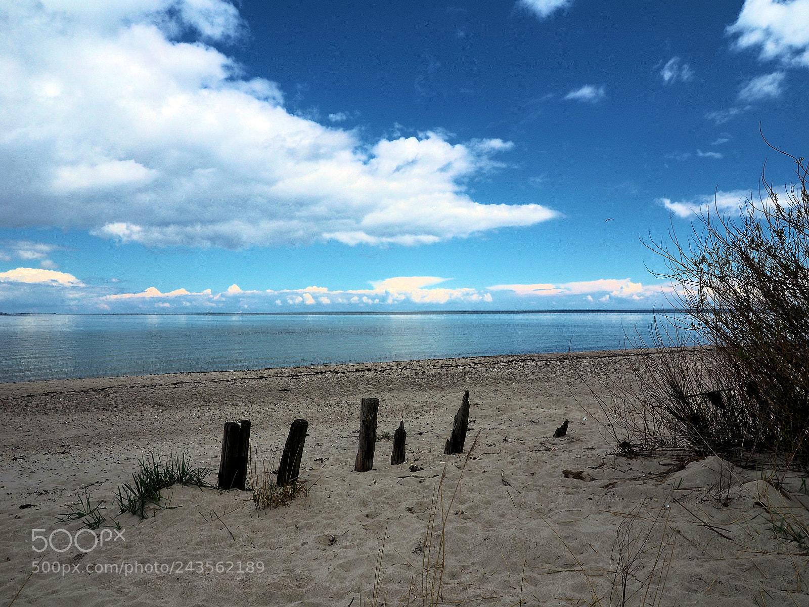Olympus OM-D E-M10 sample photo. Baltic sea beach schwedeneck photography