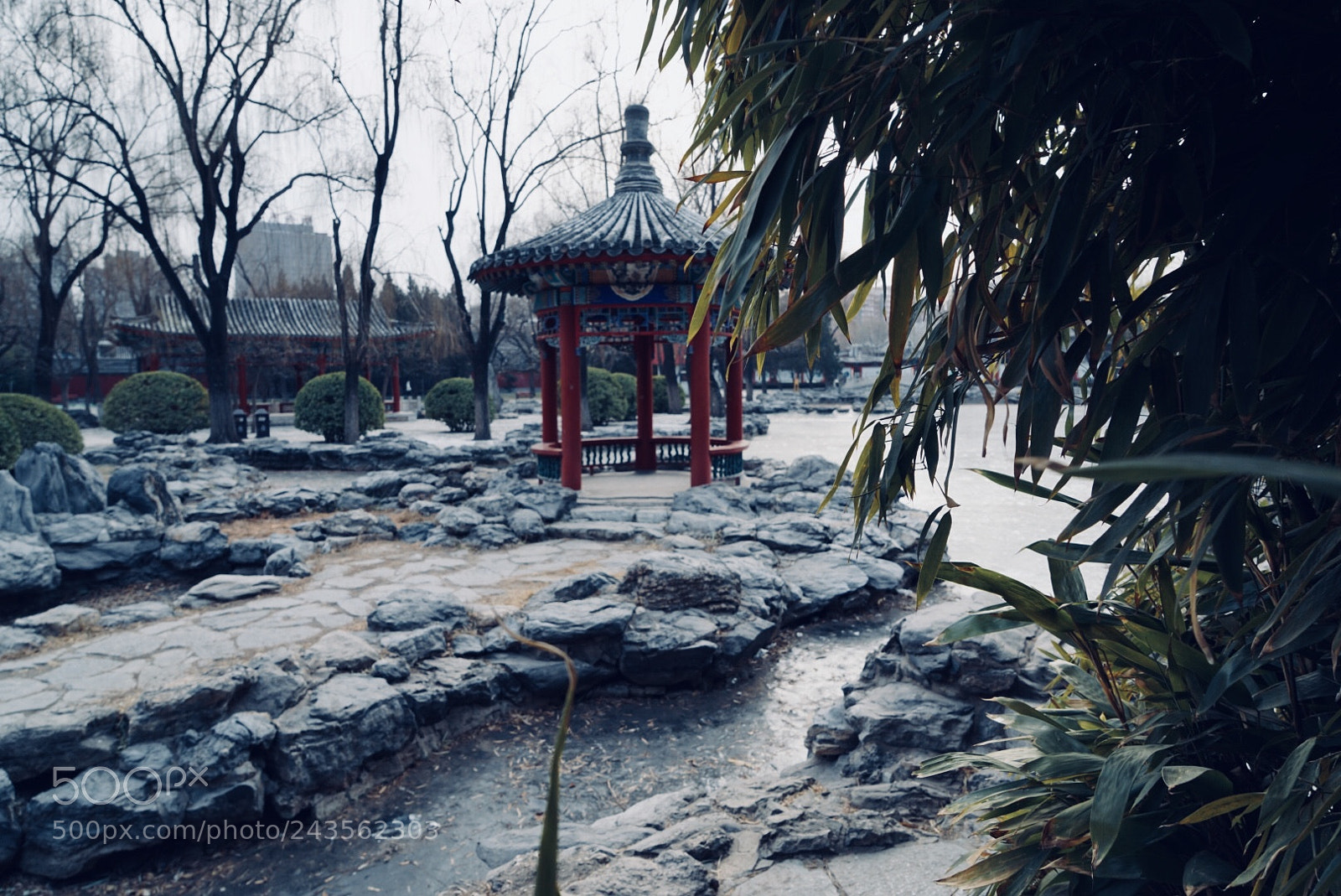 Sony a7 II sample photo. Beijing park,chinese winter photography