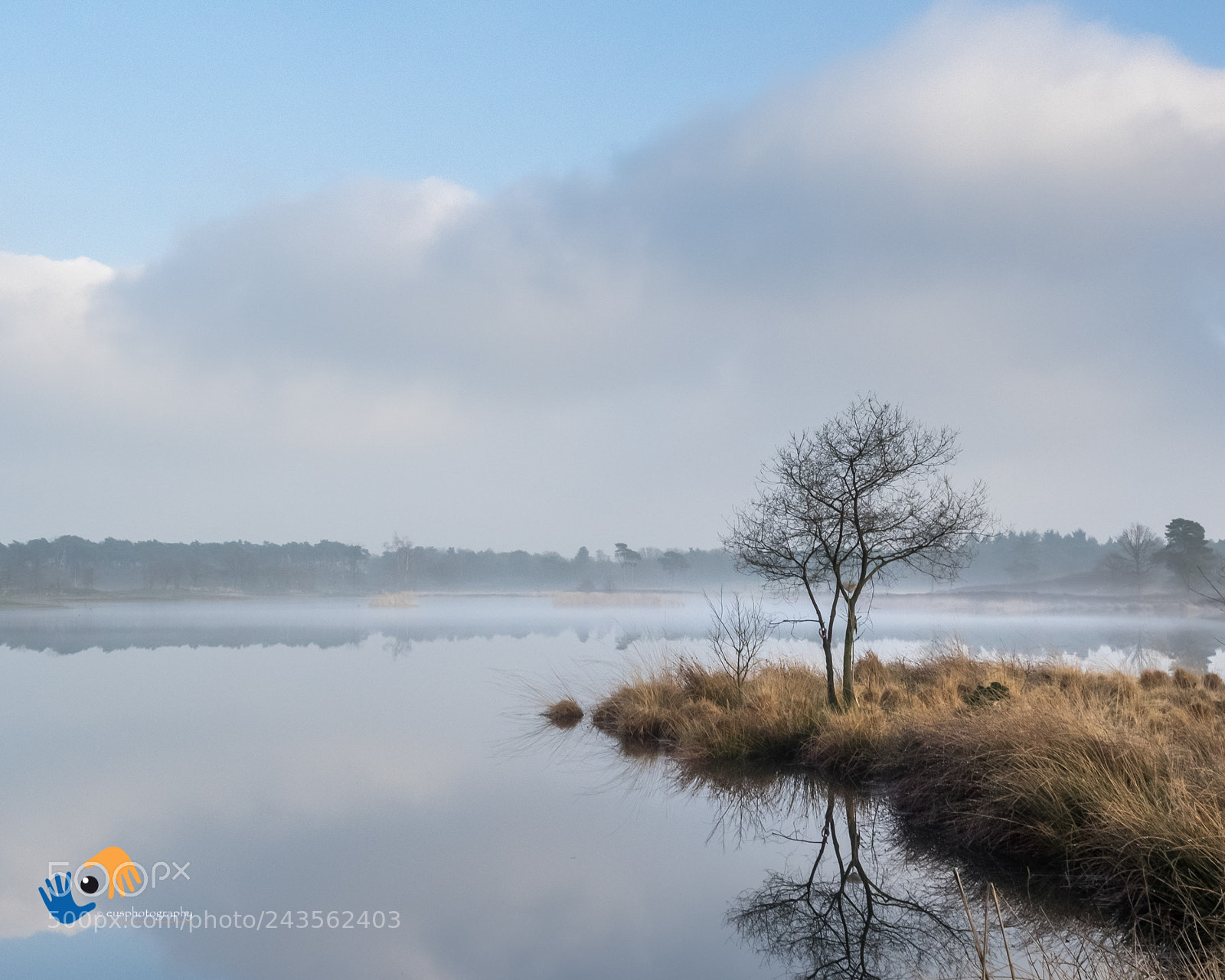 Olympus OM-D E-M1 sample photo. Beautiful soft winter light photography