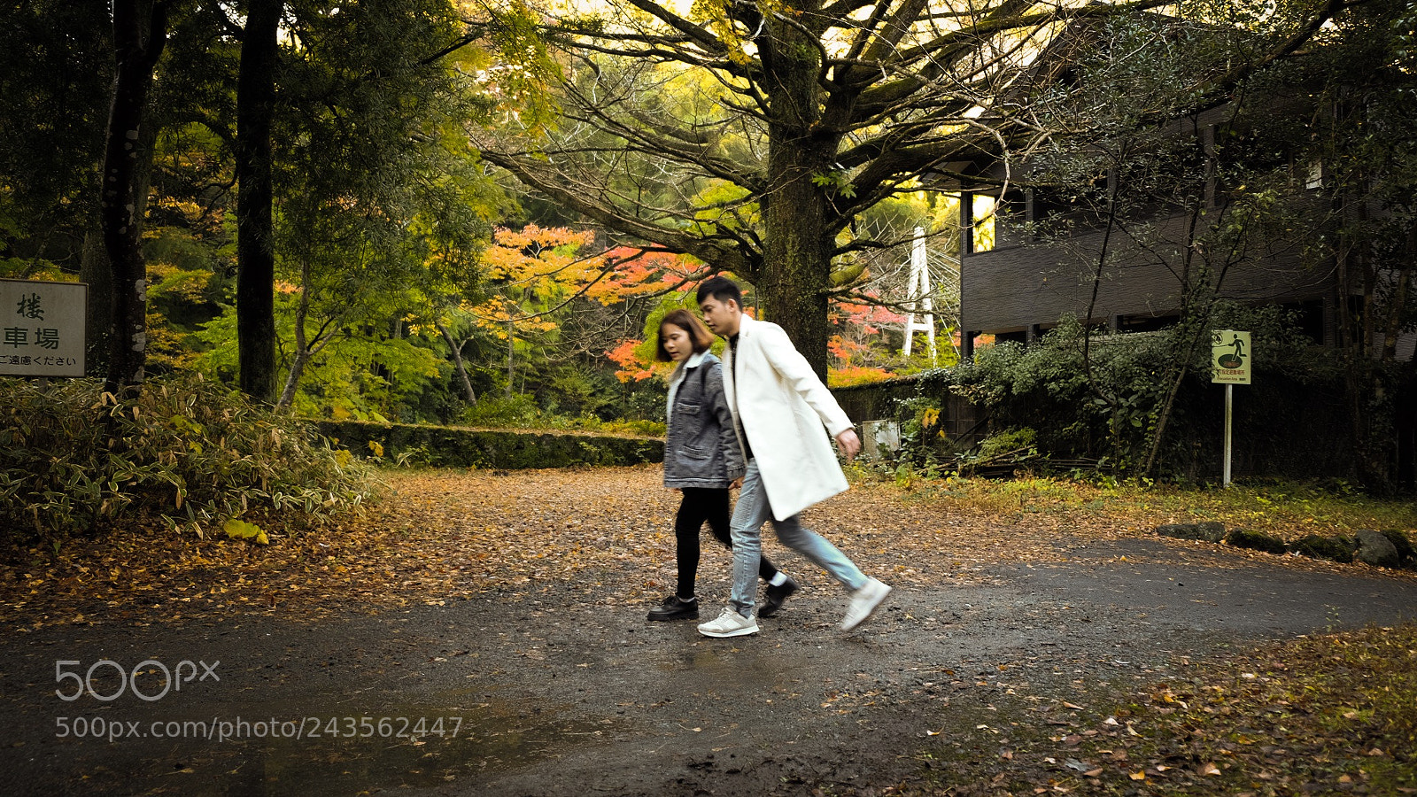 Fujifilm X-T10 sample photo. #fujifilmxt10 photography