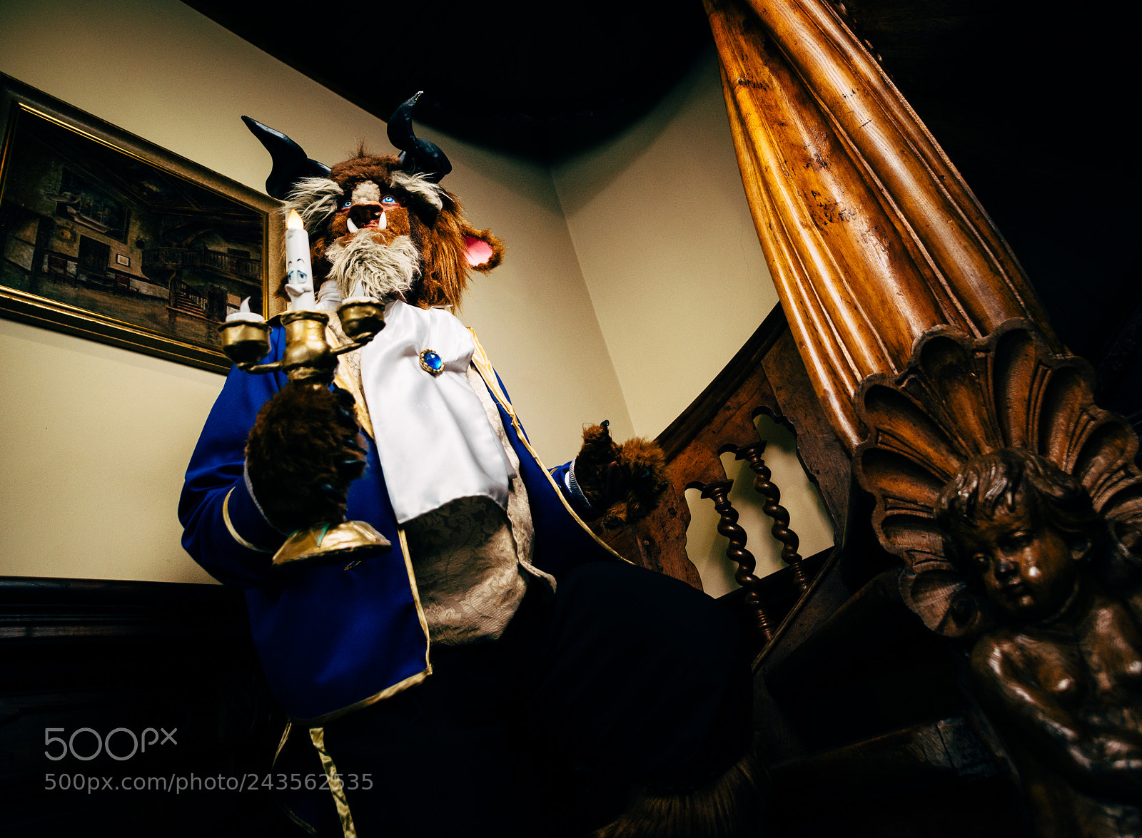 Nikon D800 sample photo. Beast photography