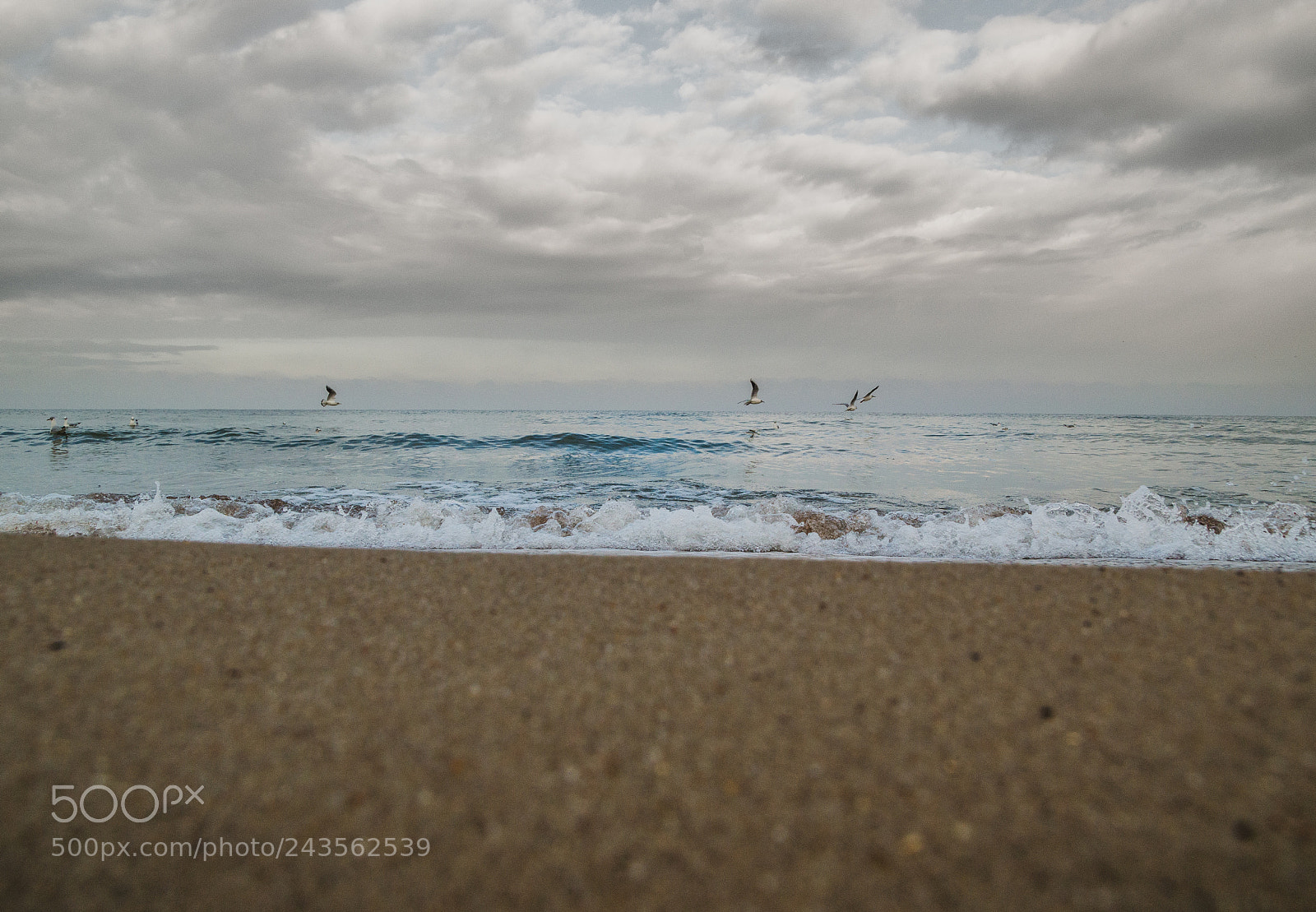 Nikon D3200 sample photo. Baltic sea photography