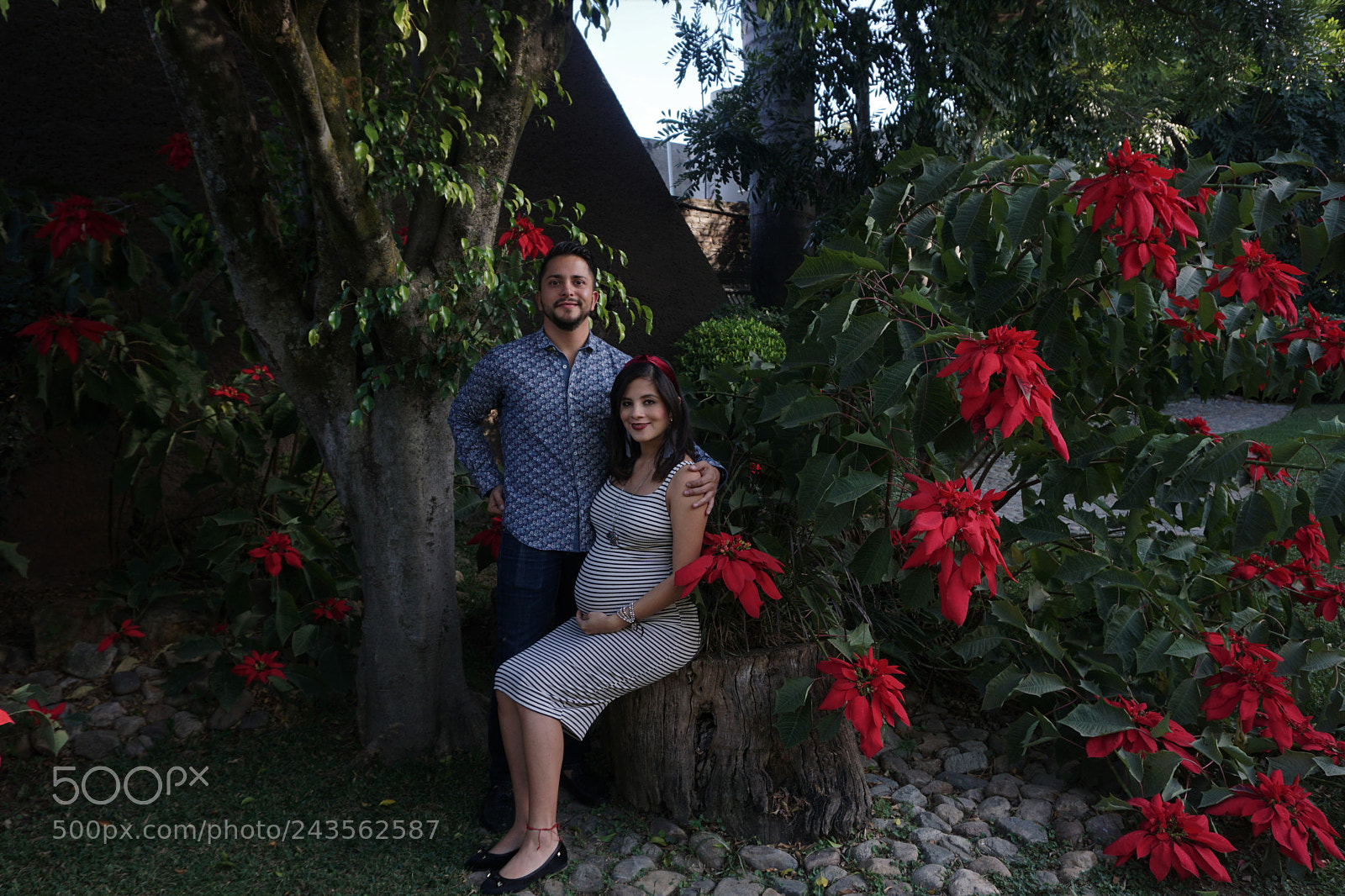 Sony E 16-50mm F3.5-5.6 PZ OSS sample photo. Dsc photography