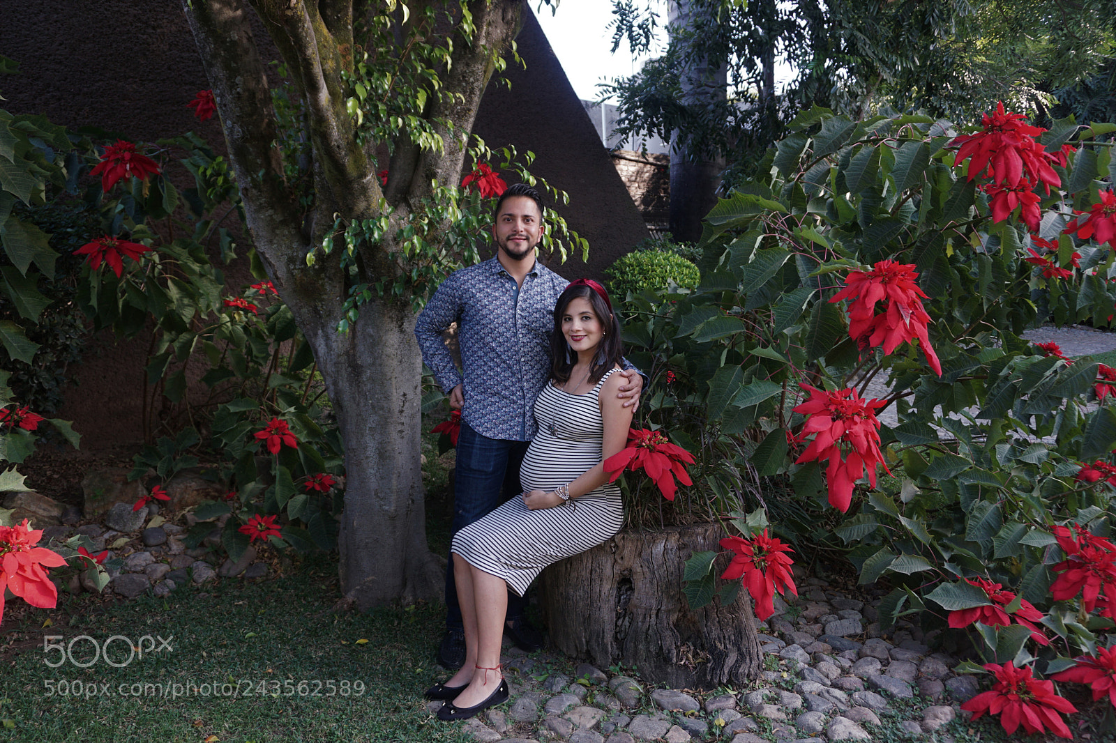 Sony E 16-50mm F3.5-5.6 PZ OSS sample photo. Dsc photography