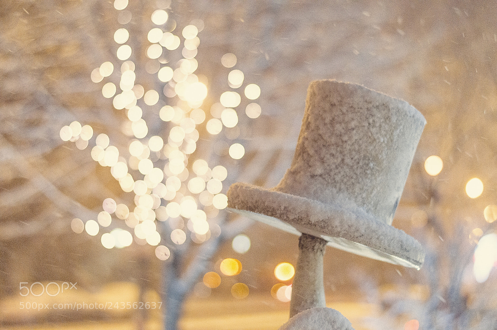 Nikon D3200 sample photo. Milady de winter photography