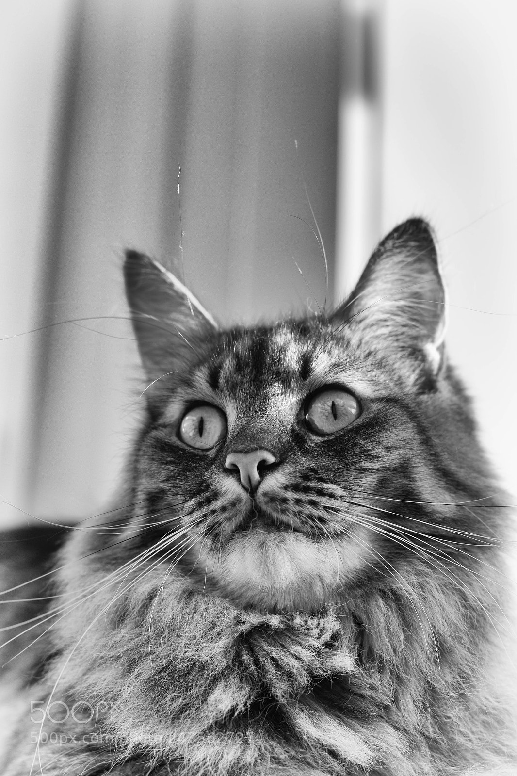 Canon EOS 60D sample photo. Antenne photography