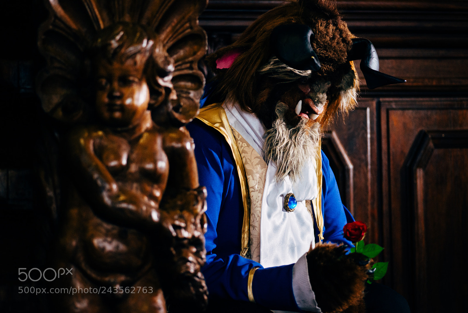 Nikon D800 sample photo. Beast photography