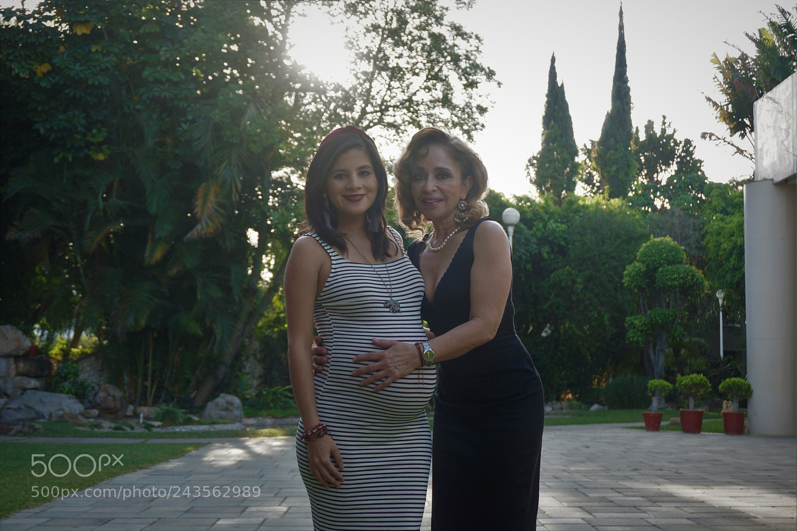 Sony a6000 + Sony E 18-50mm F4-5.6 sample photo. Dsc photography