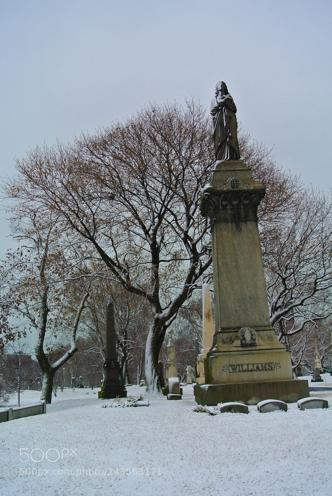 Nikon 1 V1 sample photo. Graceland cemetery after the photography