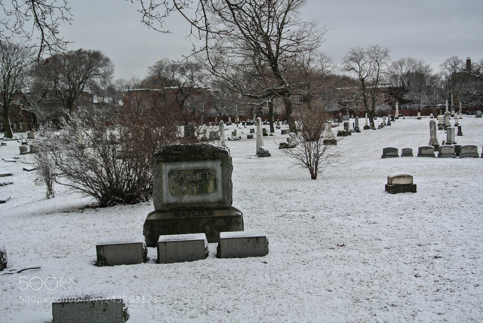 Nikon 1 V1 sample photo. Graceland cemetery after the photography