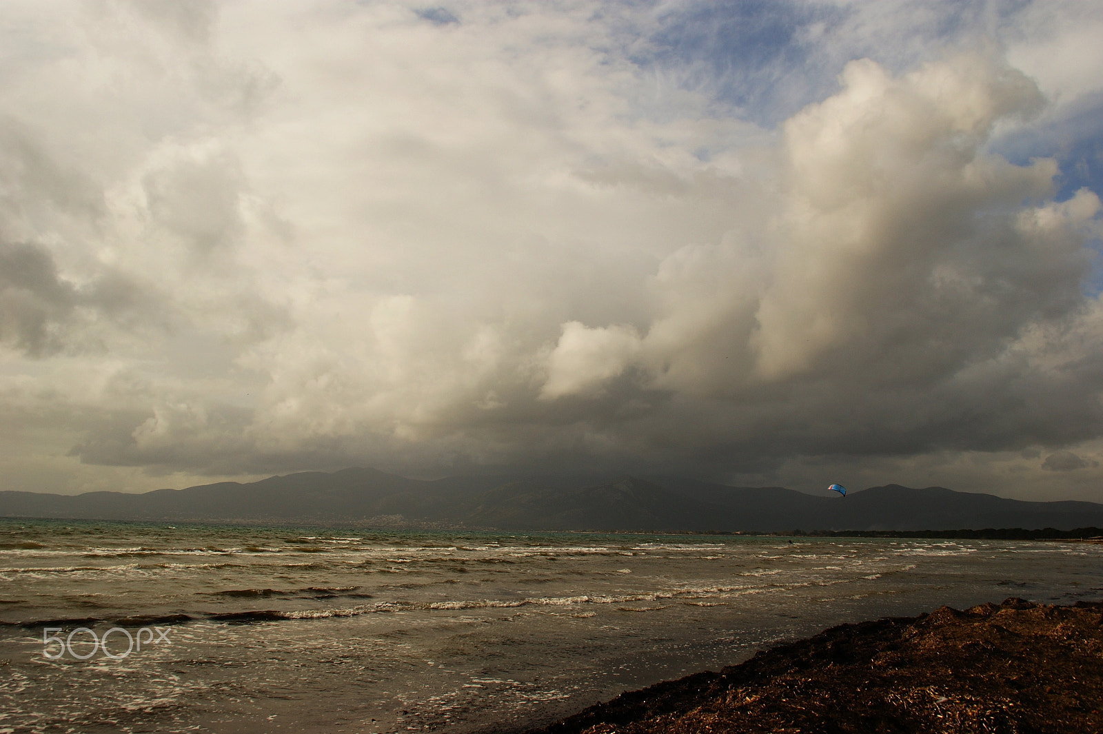 Sony DT 18-200mm F3.5-6.3 sample photo. Like an explosion ... ! photography