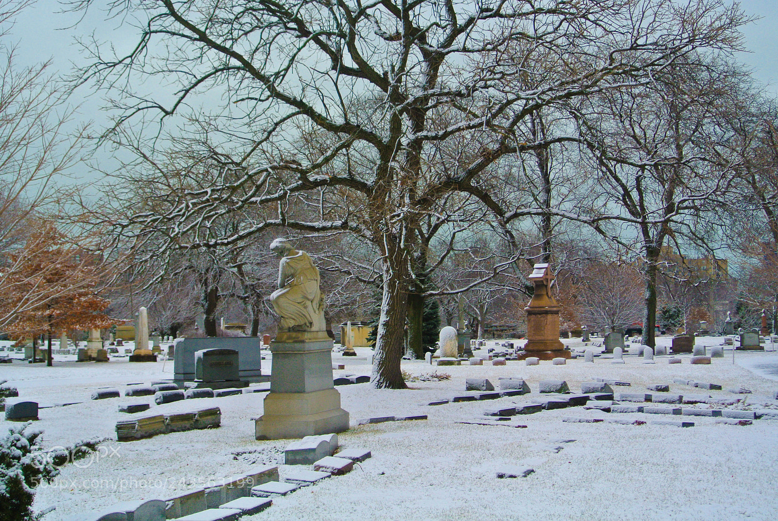 Nikon 1 V1 sample photo. Graceland cemetery after the photography