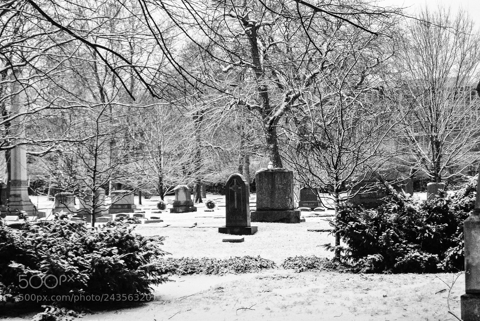 Nikon 1 V1 sample photo. Graceland cemetery after the photography