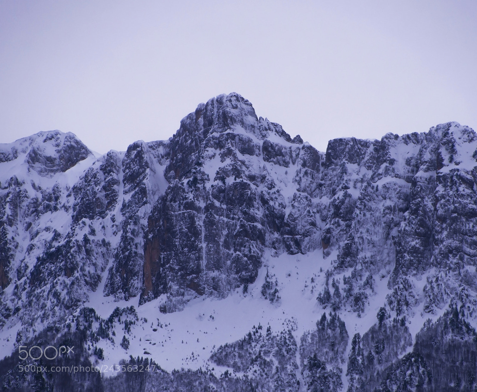 Nikon D610 sample photo. Fro(zen) photography