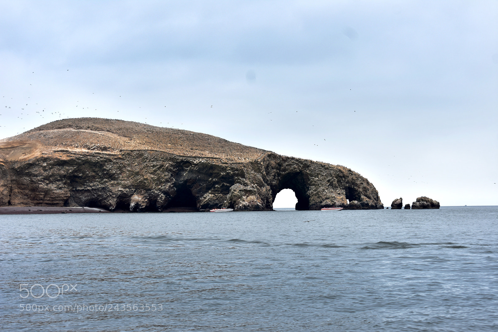 Nikon D3400 sample photo. Islas ballestas photography