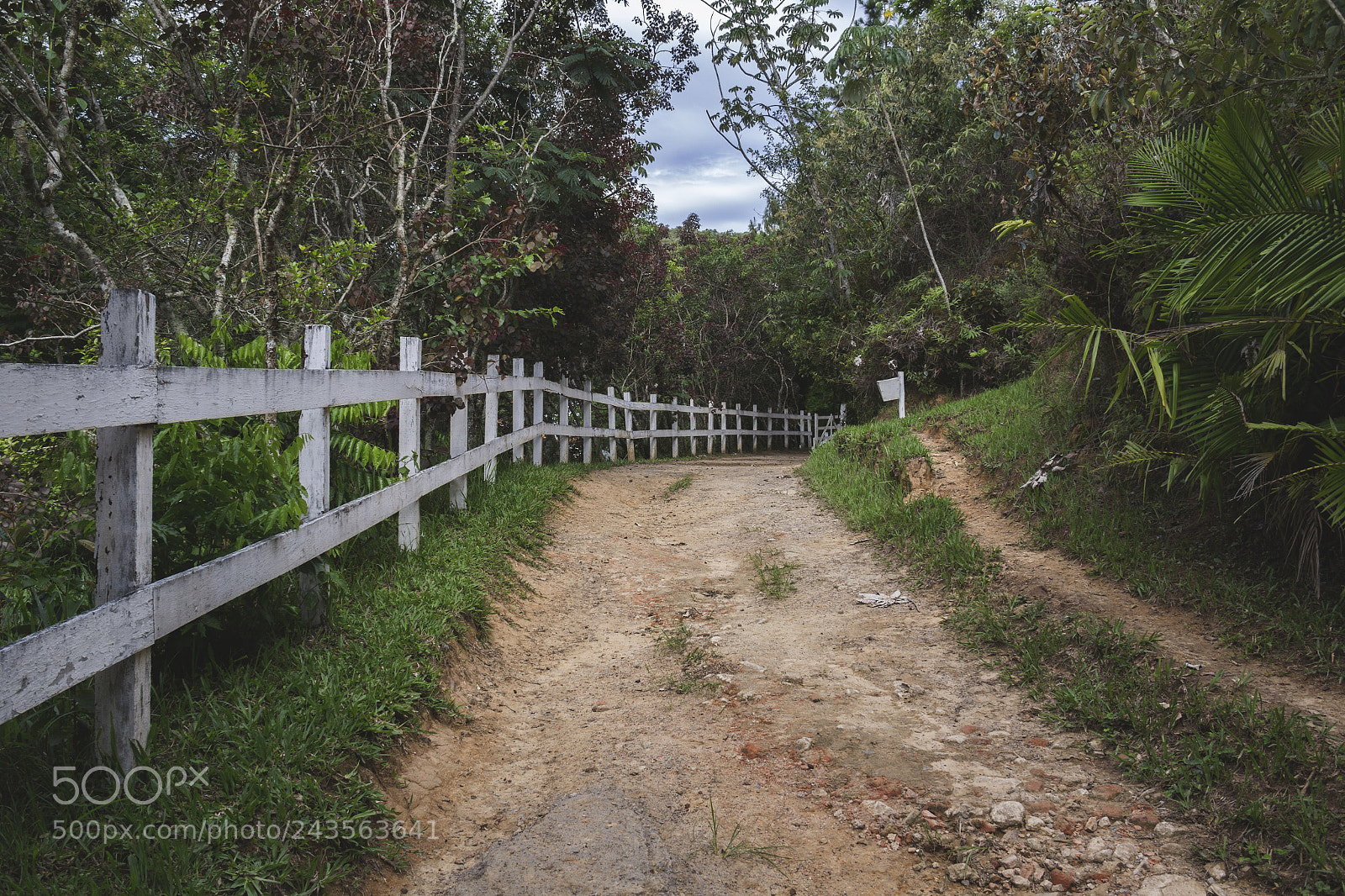 Canon EOS 60D sample photo. Farm photography