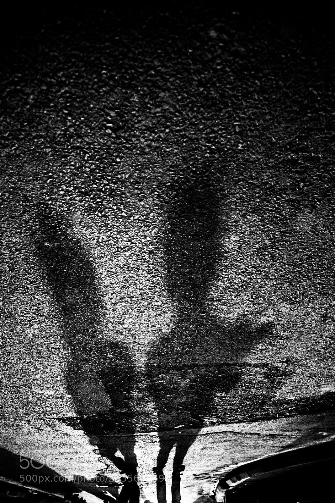 Nikon D610 sample photo. Shadows are our friends. photography
