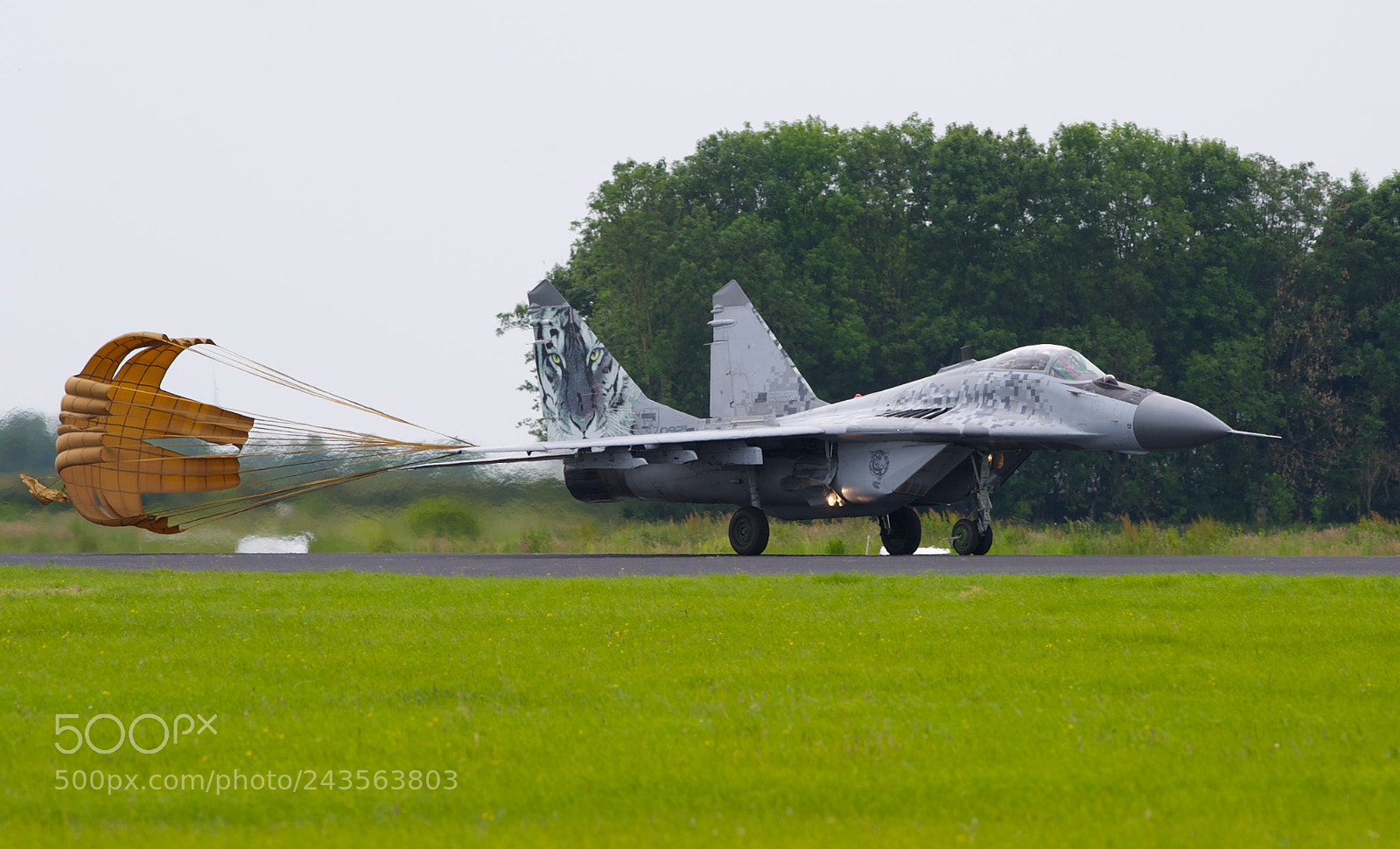 Nikon D3 sample photo. Safe landing...... mig 29 photography