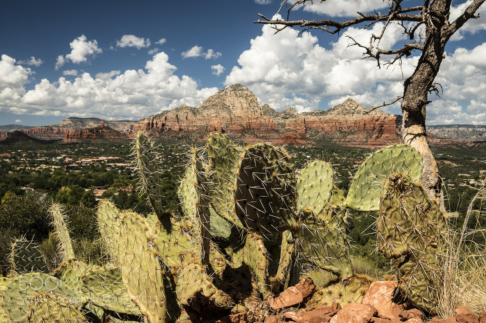 Fujifilm X-T20 sample photo. Feel of sedona photography