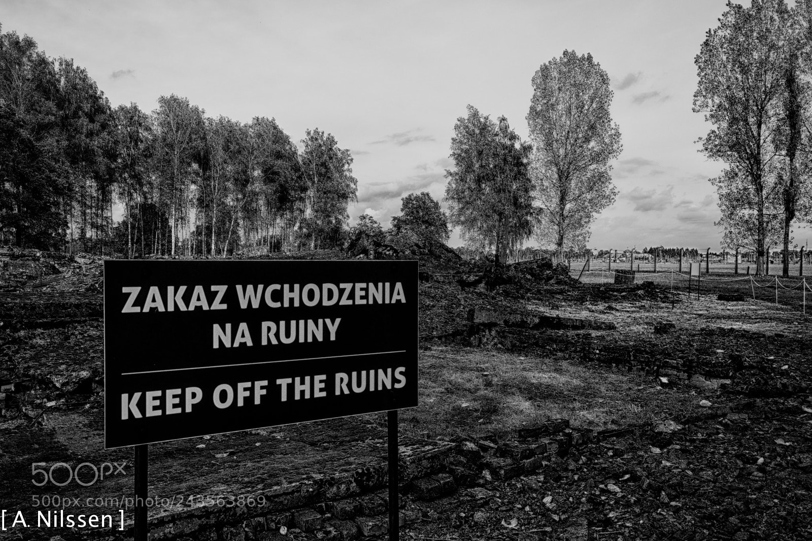 Nikon D500 sample photo. Krematorium 3 photography