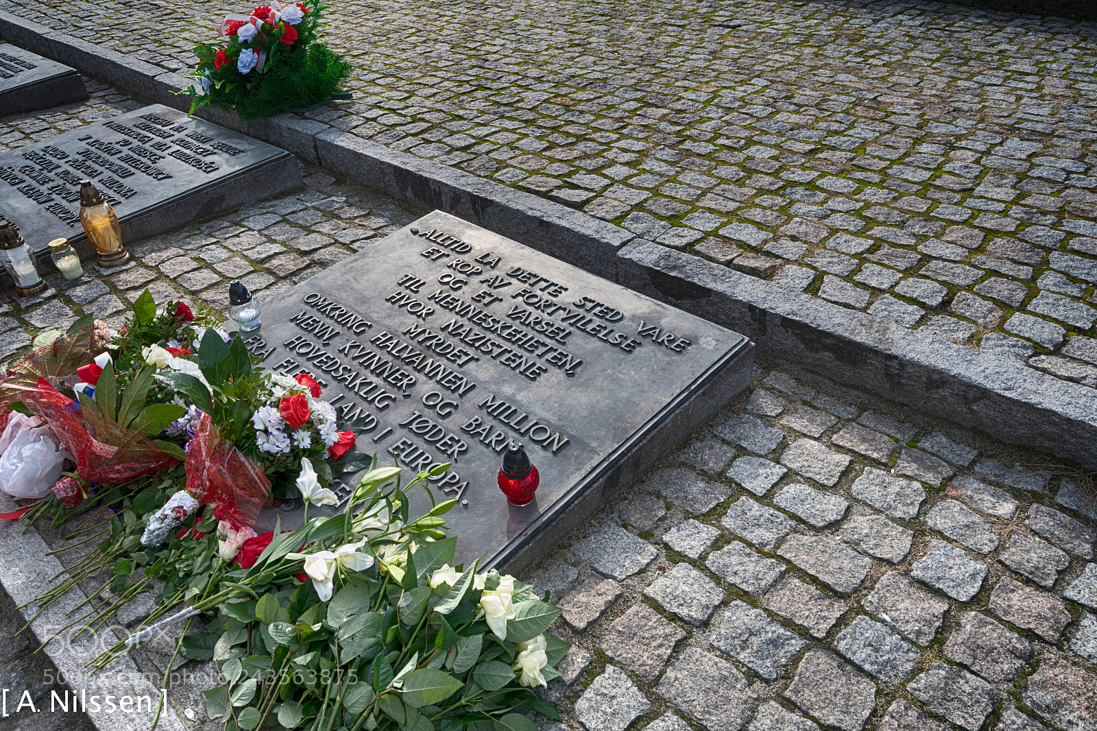 Nikon D500 sample photo. The norwegian memorial photography