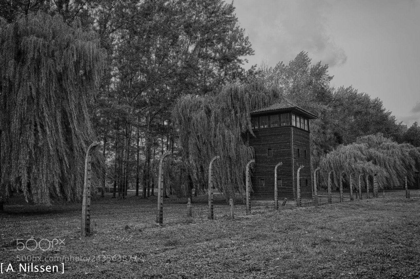 Nikon D500 sample photo. Guard tower and fence photography