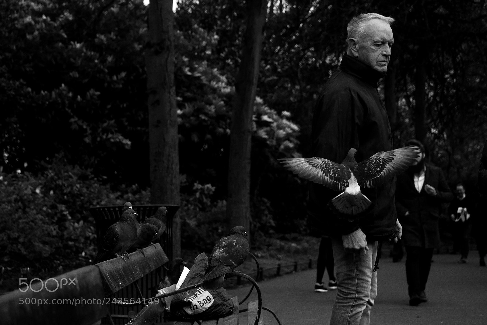 Canon EOS 650D (EOS Rebel T4i / EOS Kiss X6i) sample photo. Birdman photography