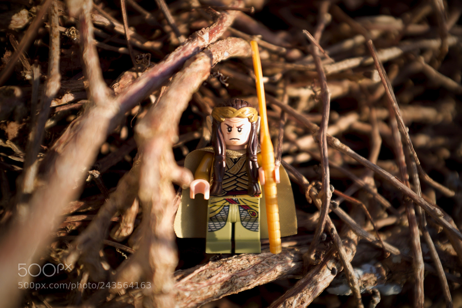 Fujifilm X100T sample photo. Eldron among the branches. photography