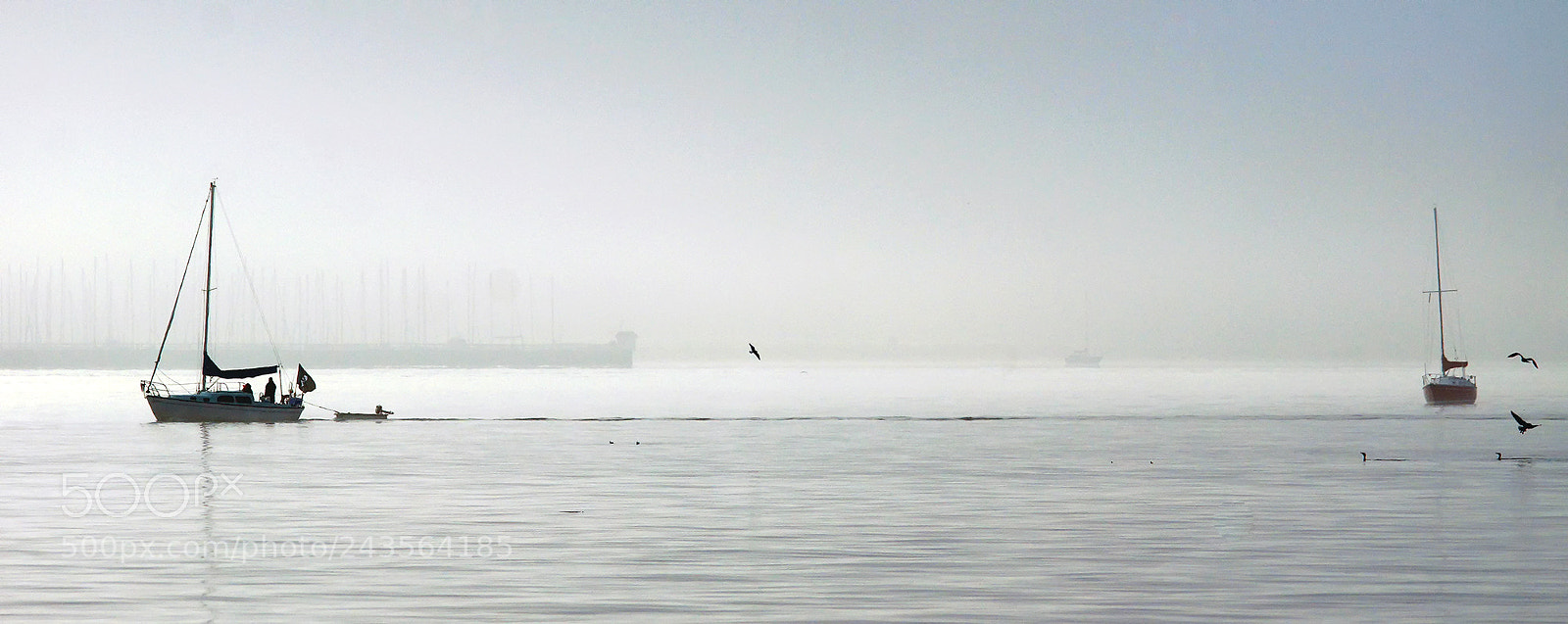 Sony SLT-A77 sample photo. Atmosphere photography