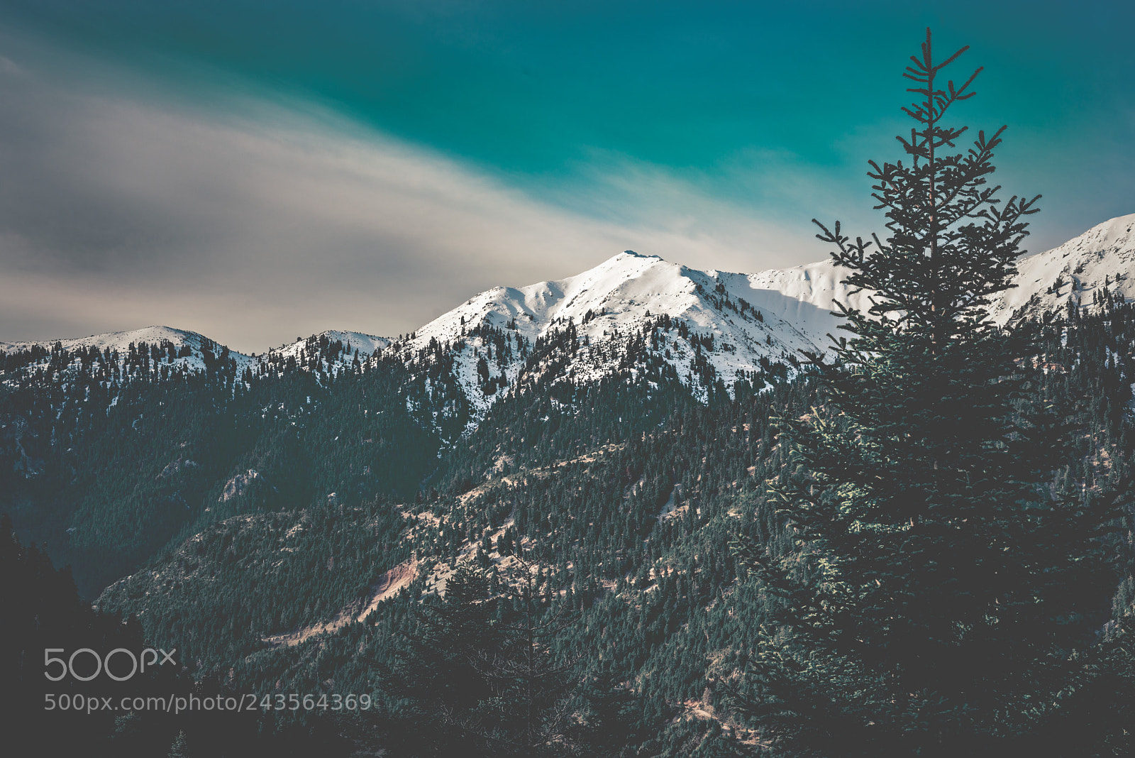 Nikon D800 sample photo. Mountains photography