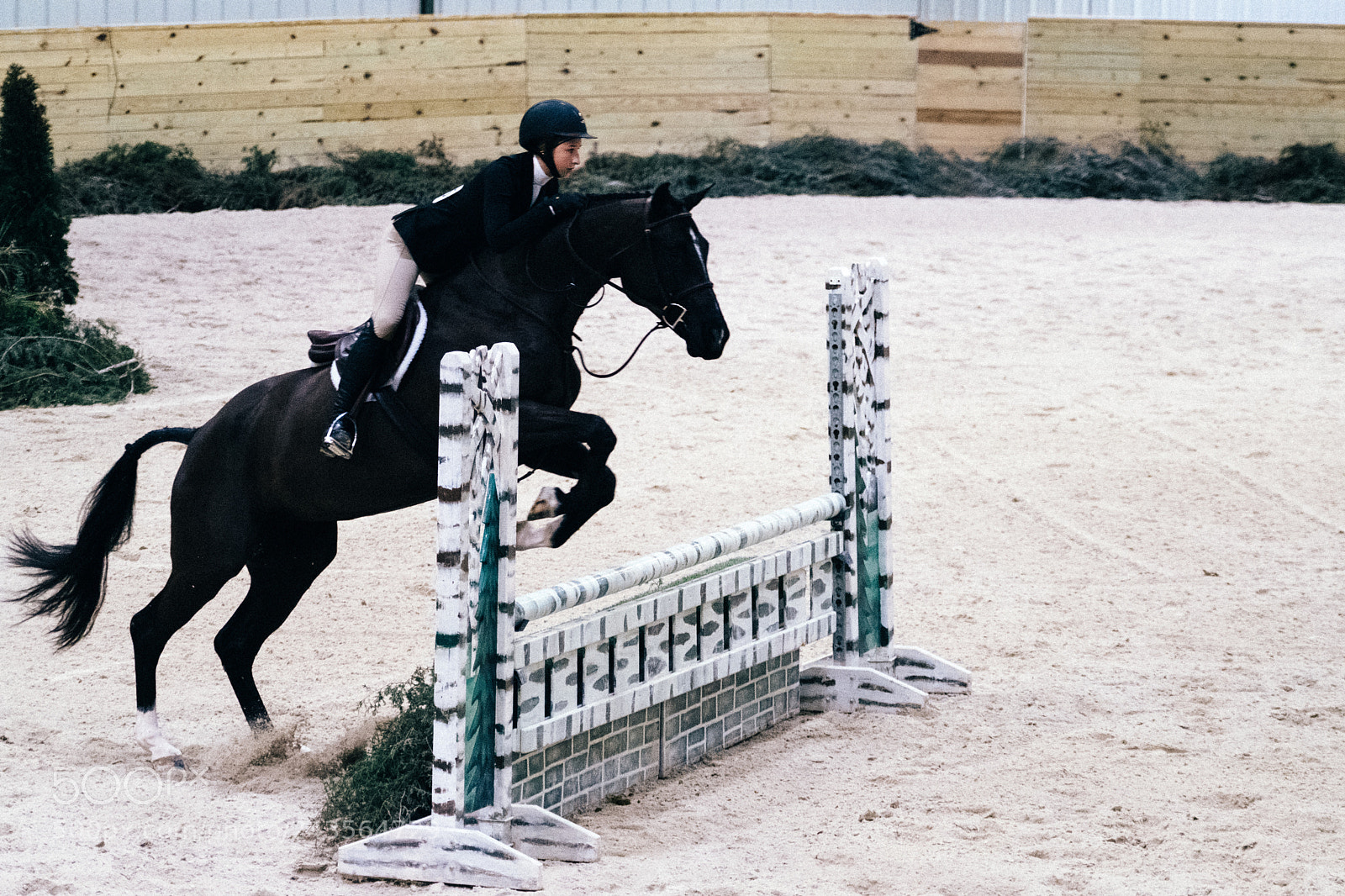 Fujifilm X-T2 sample photo. World equestrian center photography