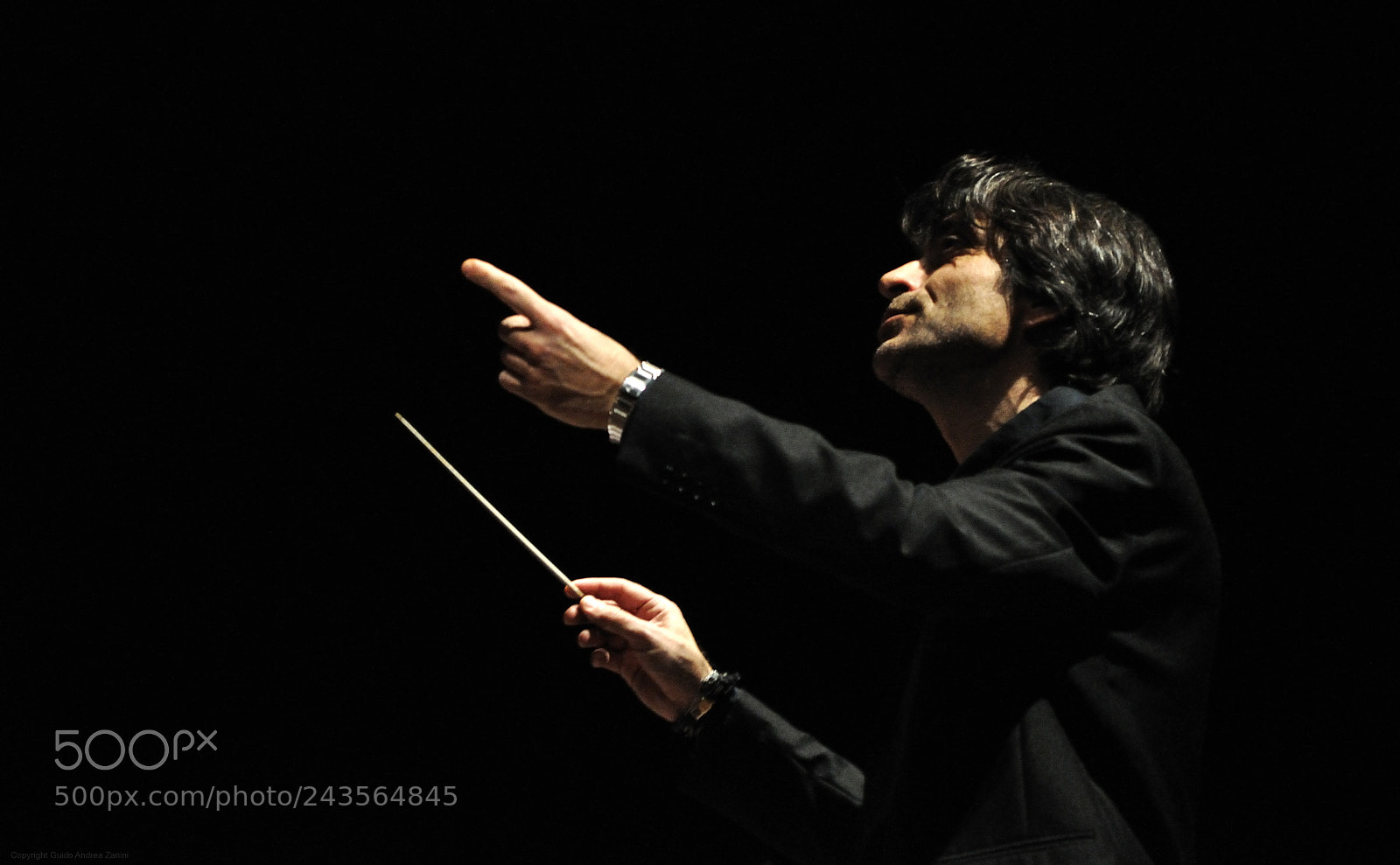 Nikon D5000 sample photo. The conductor photography