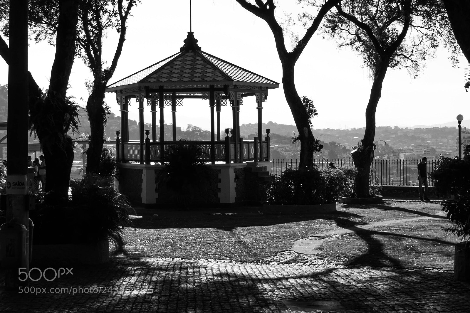 Canon PowerShot SX50 HS sample photo. Coreto penha photography