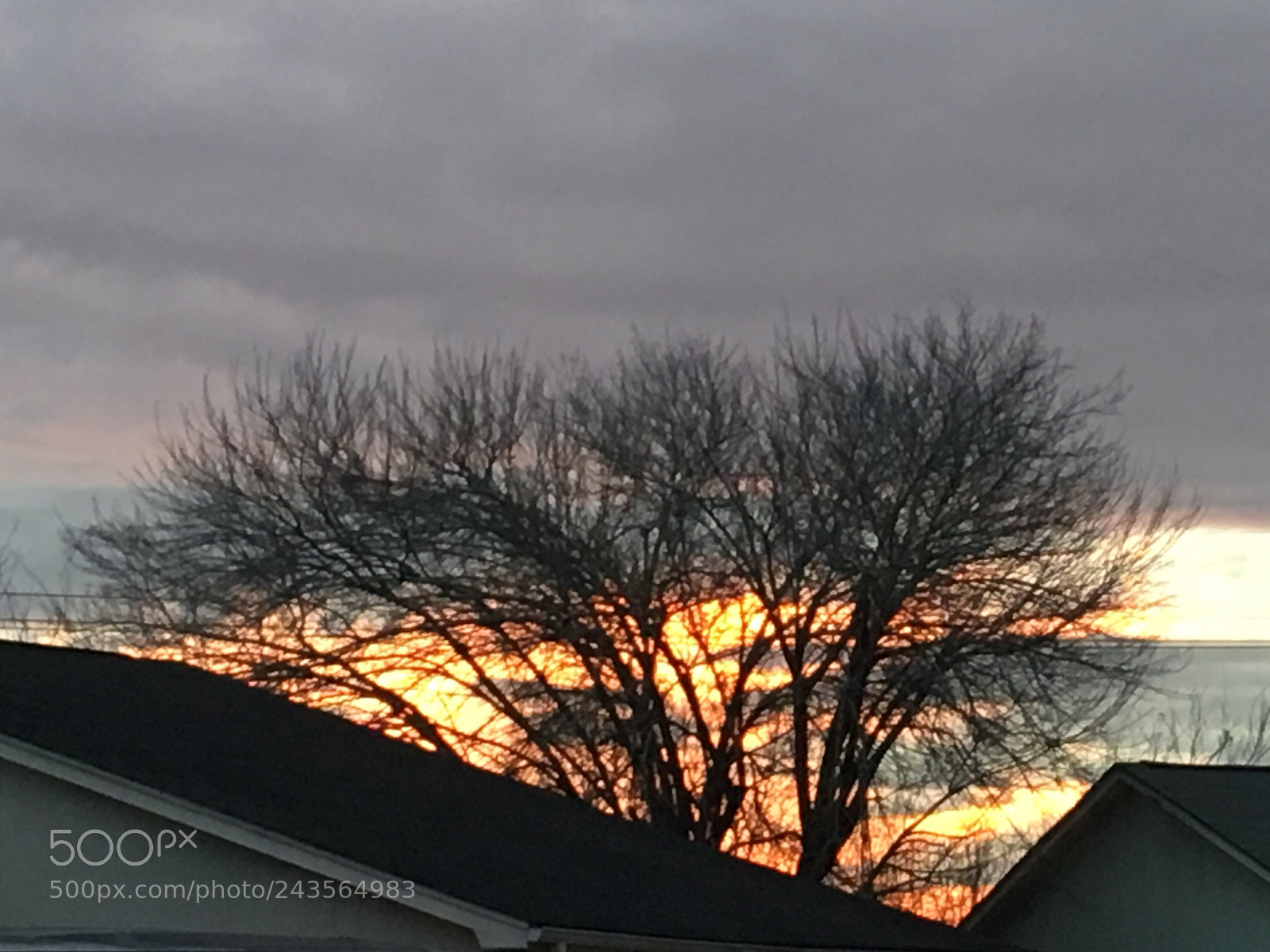 Apple iPhone 6s sample photo. Untitled photography