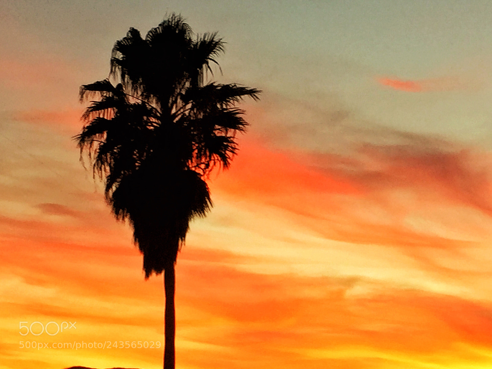 Apple iPhone 6 sample photo. Beautiful sunset this evening photography
