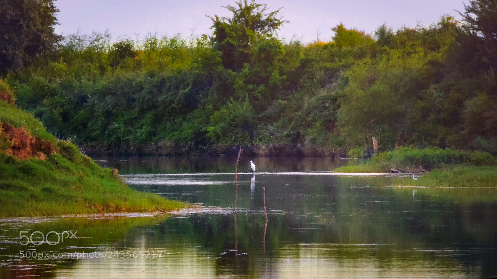 Olympus PEN E-PL6 sample photo. Tranquility in nature photography