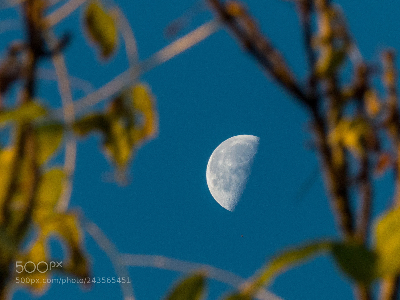 Panasonic Lumix DMC-FZ200 sample photo. Framed moon photography