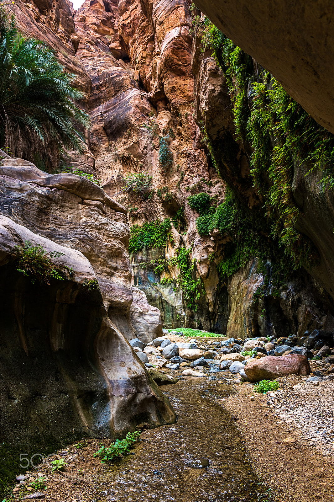 Sony ILCA-77M2 sample photo. Water is life photography