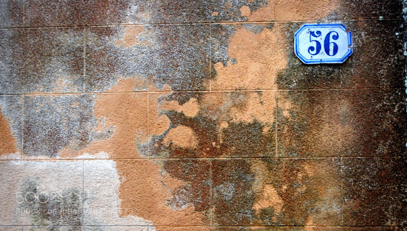 Nikon D40X sample photo. Number 56 on old wall photography