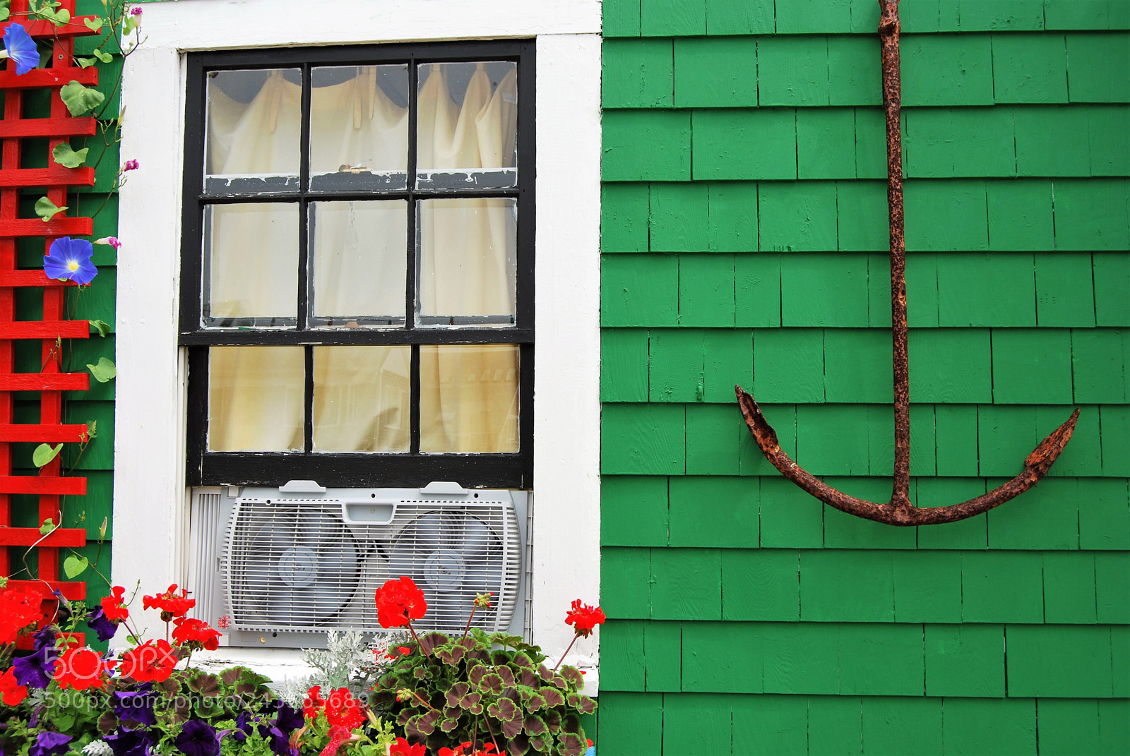 Nikon D40X sample photo. Anchor on green house photography