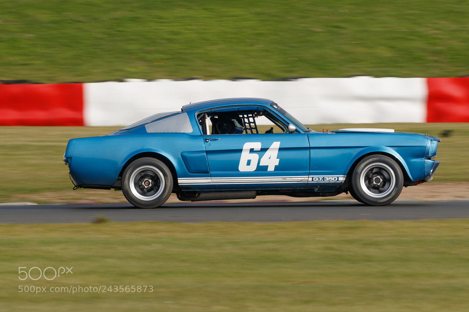 Canon EOS-1D X Mark II sample photo. Mustang photography