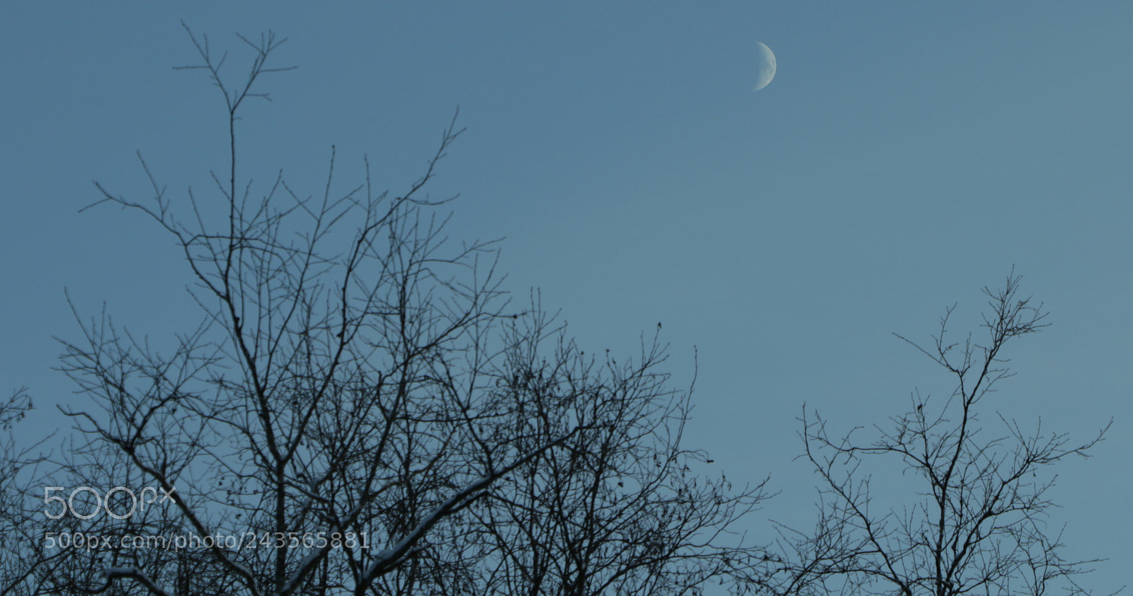 Canon EOS 650D (EOS Rebel T4i / EOS Kiss X6i) sample photo. Img photography
