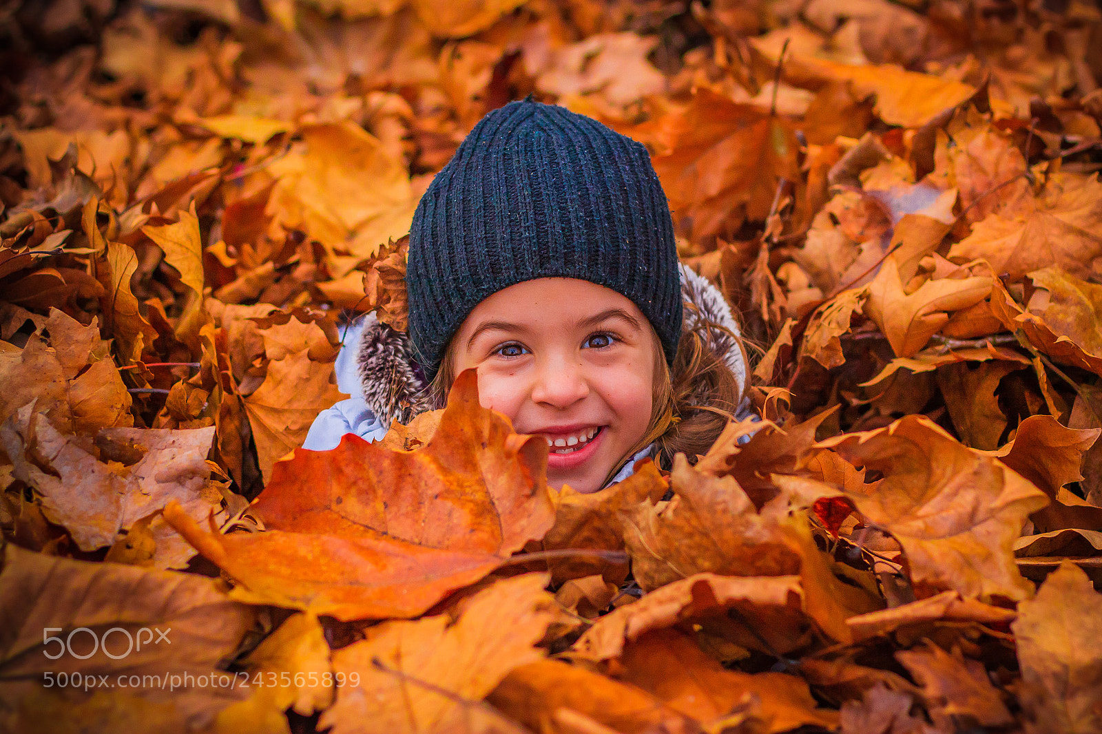 Canon EOS 50D sample photo. Fall photography