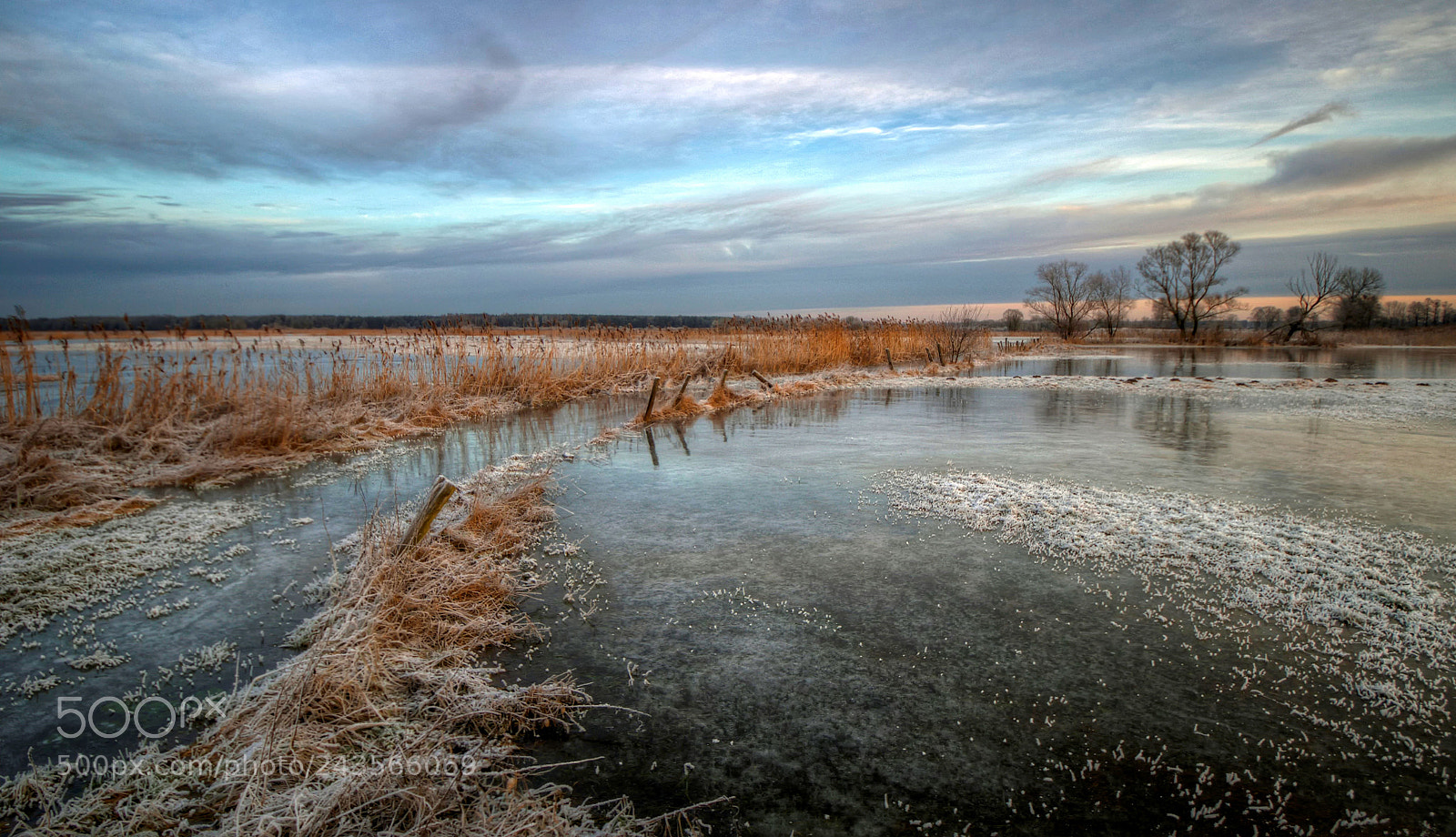 Pentax K-30 sample photo. Frosty morning photography