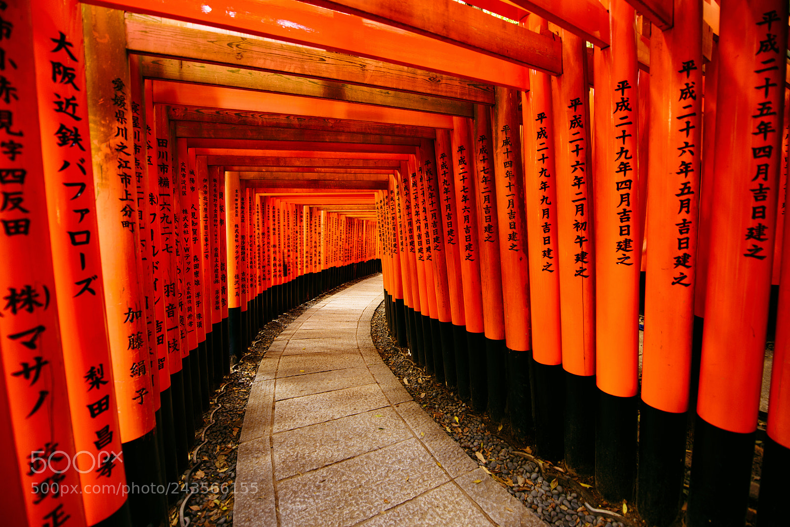 Nikon D810 sample photo. Fushimi inari pathway photography