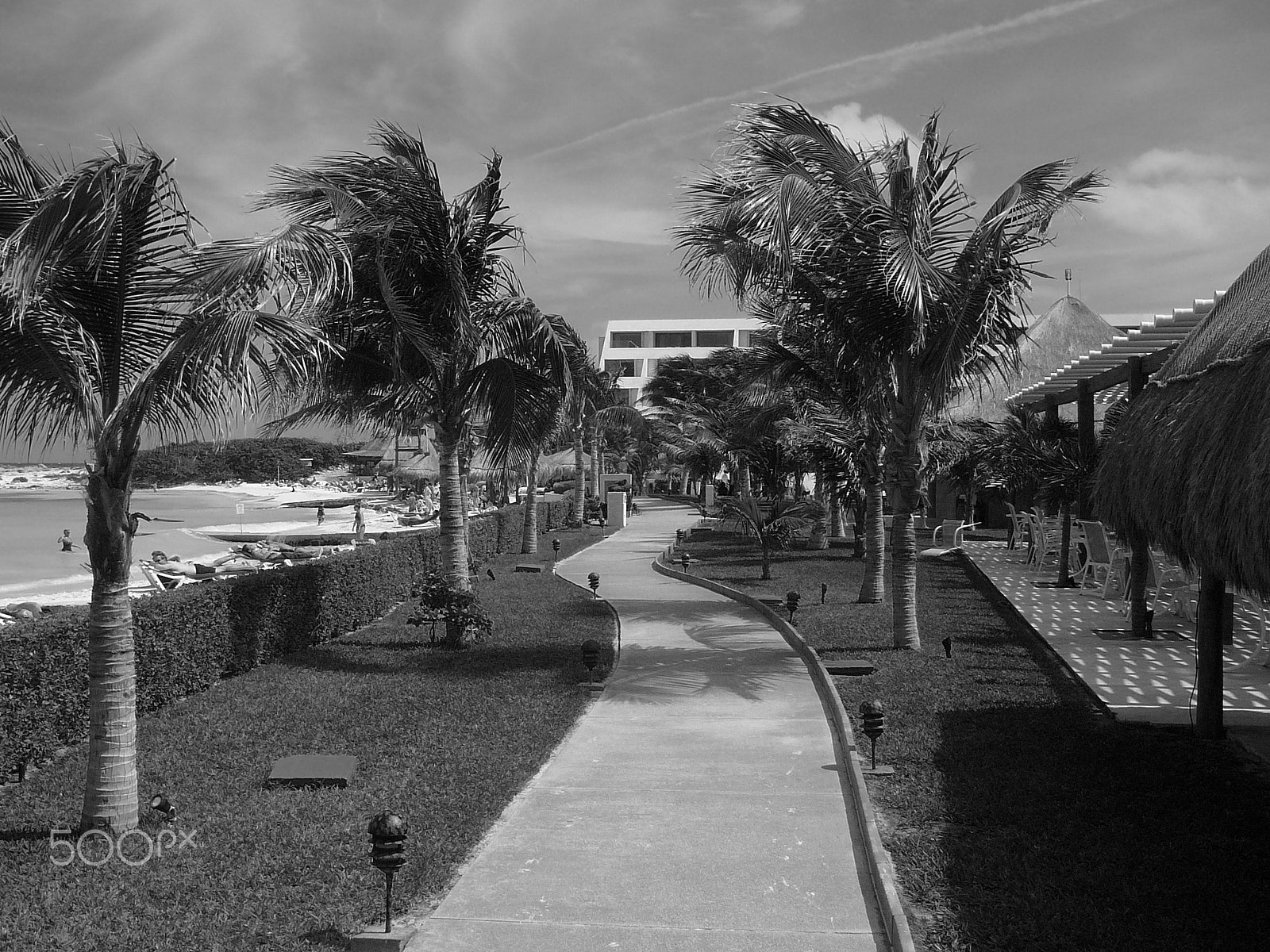 Panasonic DMC-TZ1 sample photo. B & w cancun photography