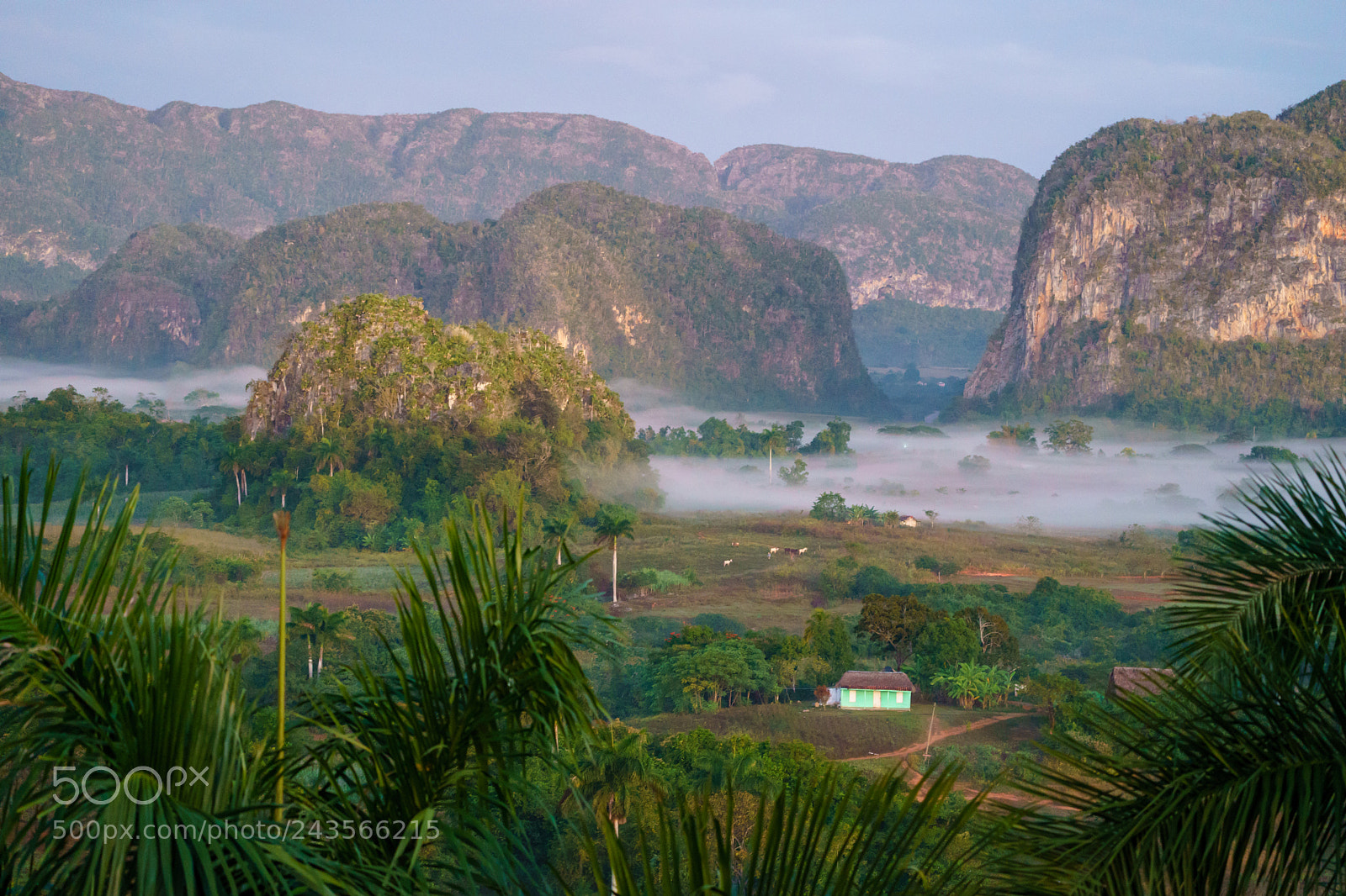 Sony a9 sample photo. Vignales cuba photography