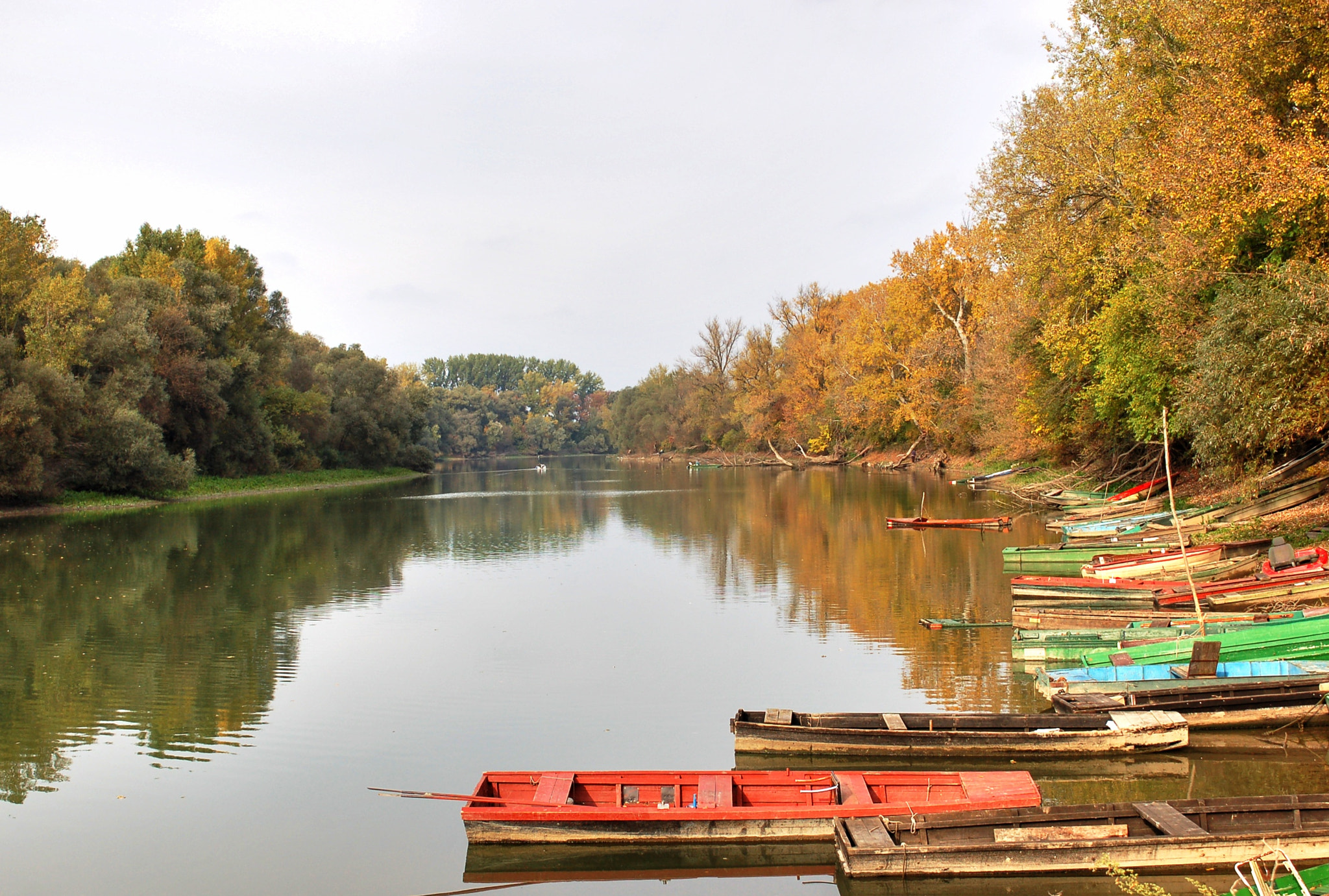 Nikon D50 sample photo. Duna river photography